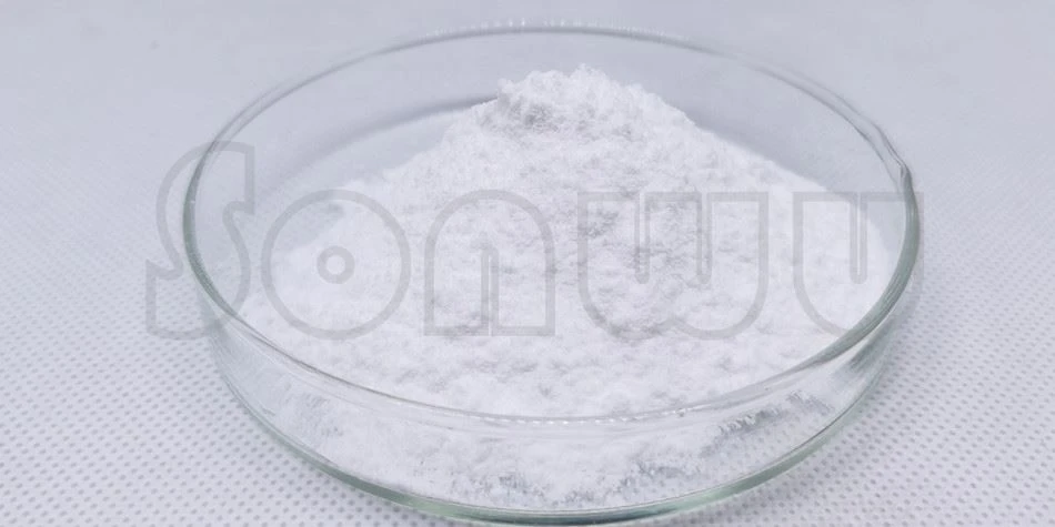 Nefiracetam powder_