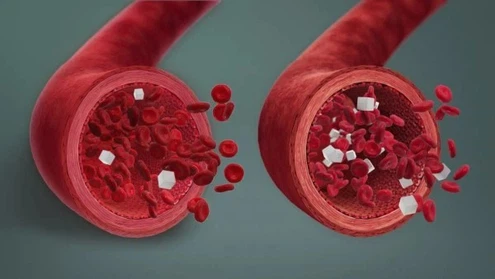 52Corosolic Acid Powder 52Corosolic Acid Powder